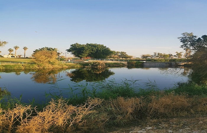 حديقة الامير سلطان بن عبدالعزيز