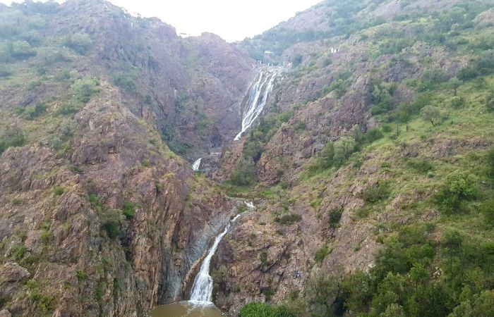 حديقة غابة خيره Khairah Forest Park